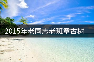 2015年老同志老班章古樹茶審評