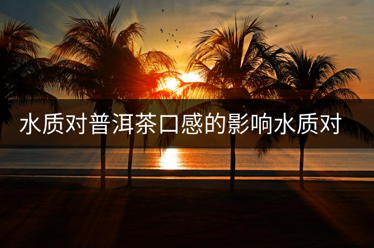 水質(zhì)對(duì)普洱茶口感的影響水質(zhì)對(duì)普洱茶口感的影響