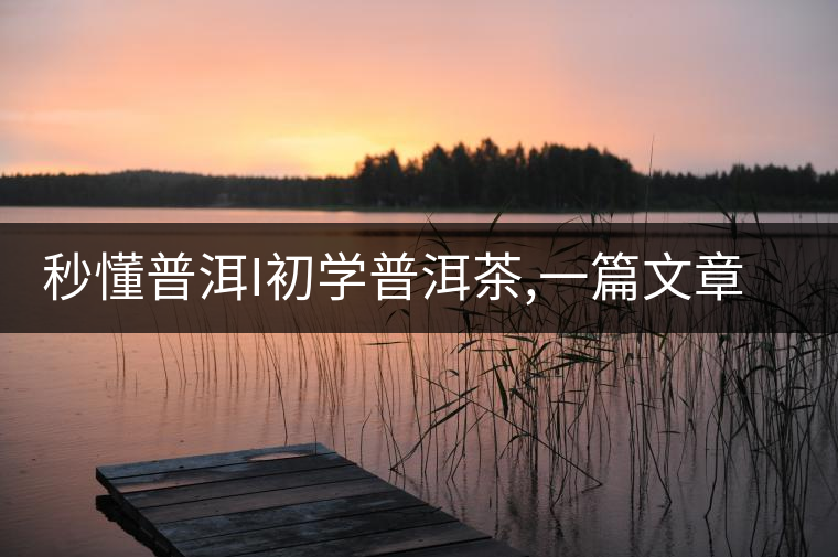 秒懂普洱I初學(xué)普洱茶,一篇文章快速入門