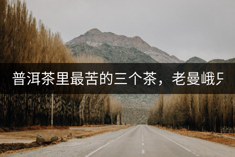 普洱茶里最苦的三個(gè)茶，老曼峨只能排第三！