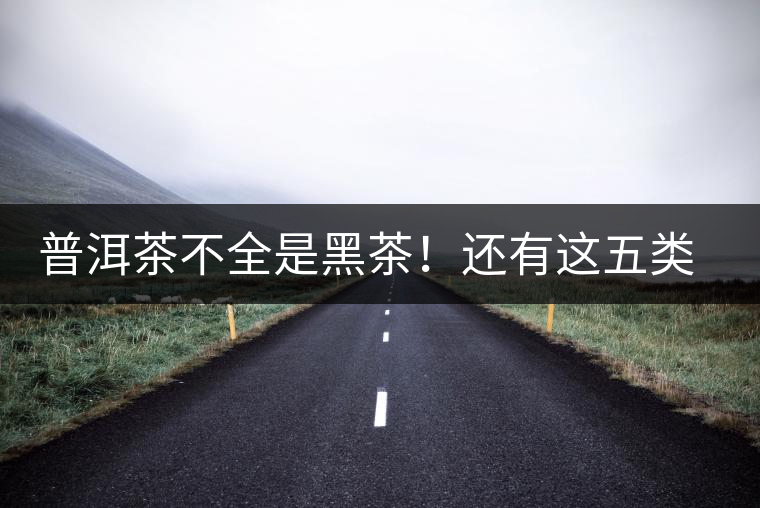 普洱茶不全是黑茶！還有這五類茶，現(xiàn)在知道還不算晚