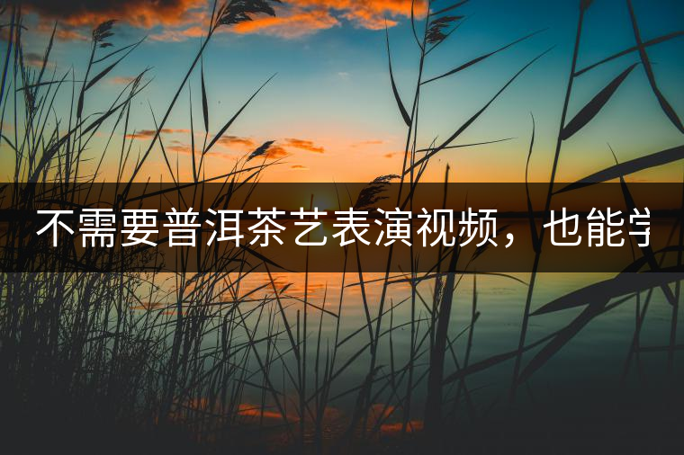 不需要普洱茶藝表演視頻，也能學會的茶藝！