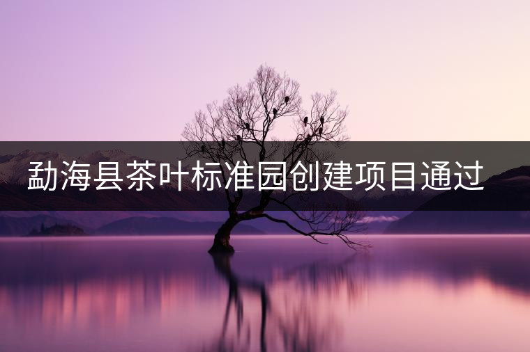 勐?？h茶葉標準園創(chuàng)建項目通過省級驗收