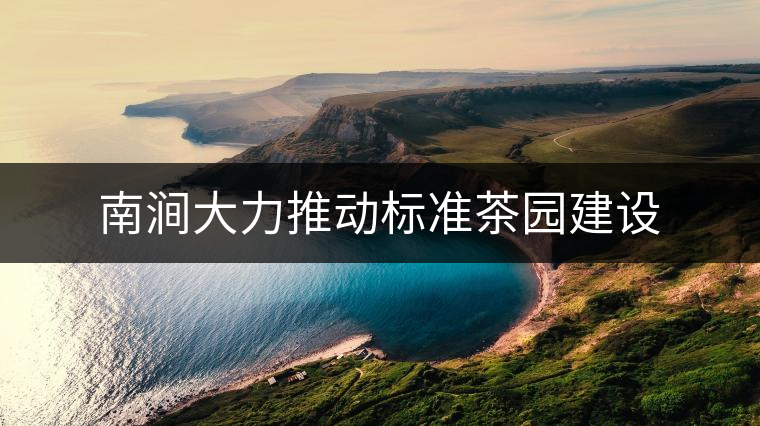 南澗大力推動(dòng)標(biāo)準(zhǔn)茶園建設(shè)
