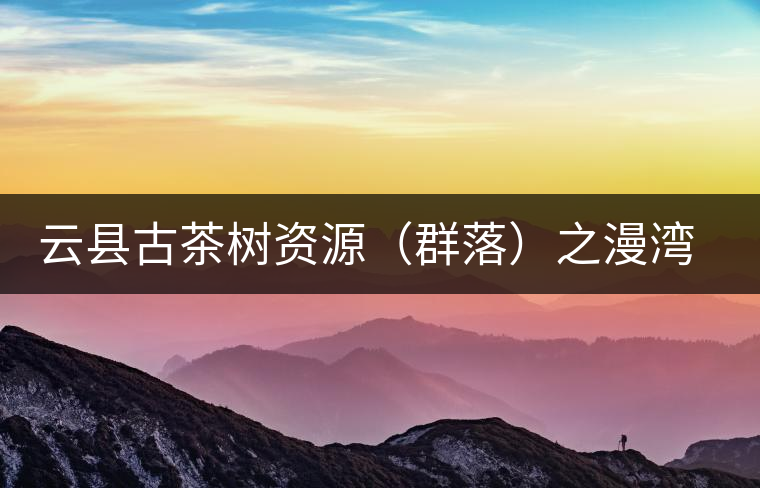 云縣古茶樹資源（群落）之漫灣鎮(zhèn)、茂蘭鎮(zhèn)大丙山