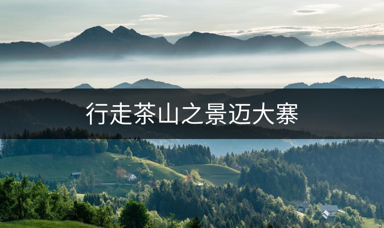 行走茶山之景邁大寨