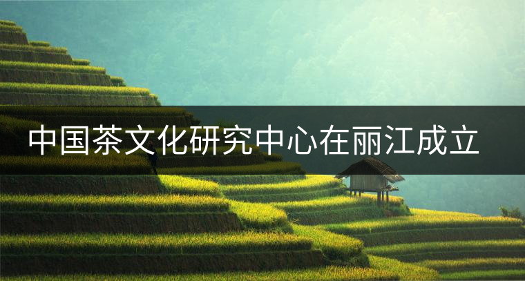 中國茶文化研究中心在麗江成立 力推茶馬古道申遺