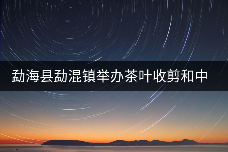勐?？h勐混鎮(zhèn)舉辦茶葉收剪和中耕培土現(xiàn)場培訓會