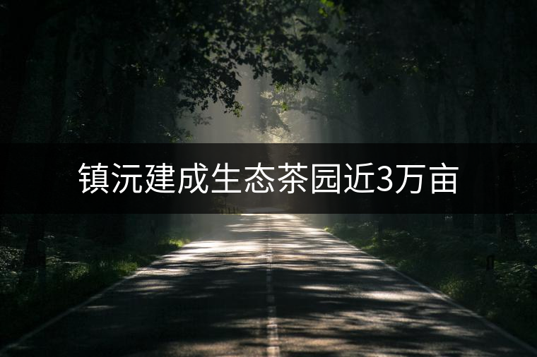 鎮(zhèn)沅建成生態(tài)茶園近3萬畝 鎮(zhèn)沅建成生態(tài)茶園近3萬畝