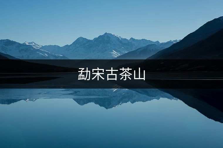 勐宋古茶山