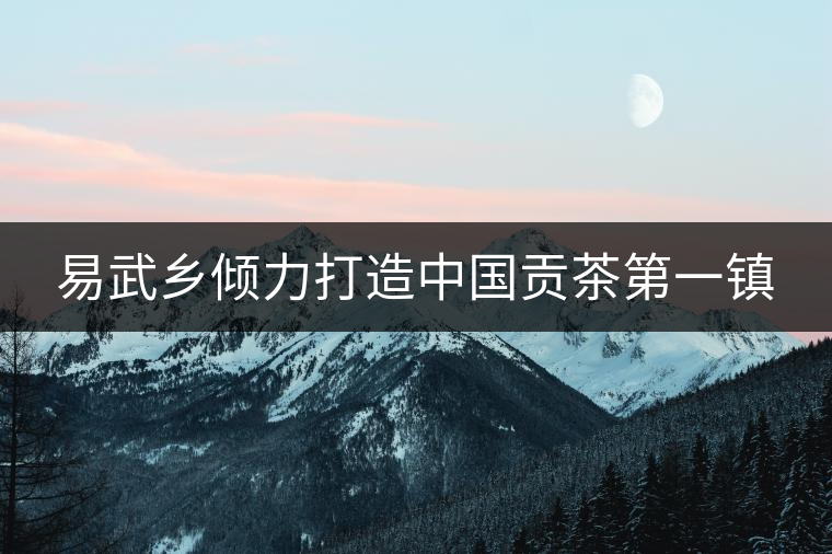 易武鄉(xiāng)傾力打造中國(guó)貢茶第一鎮(zhèn)