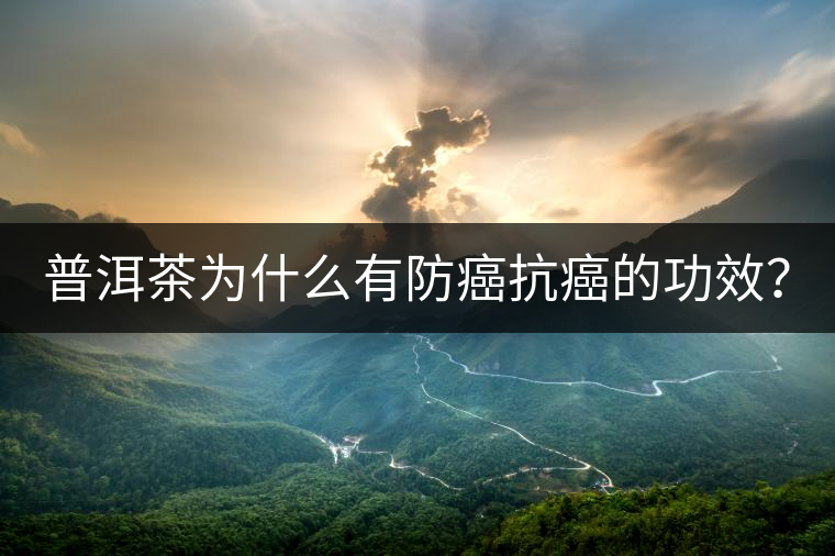 普洱茶為什么有防癌抗癌的功效？