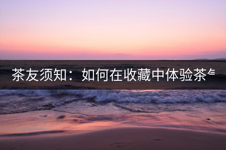 茶友須知：如何在收藏中體驗茶氣？