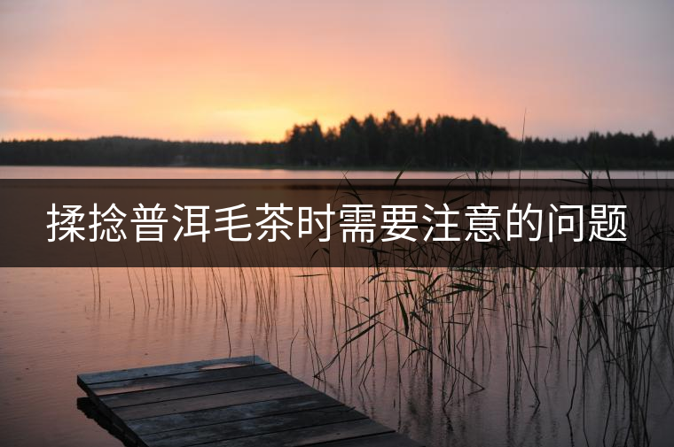 揉捻普洱毛茶時需要注意的問題