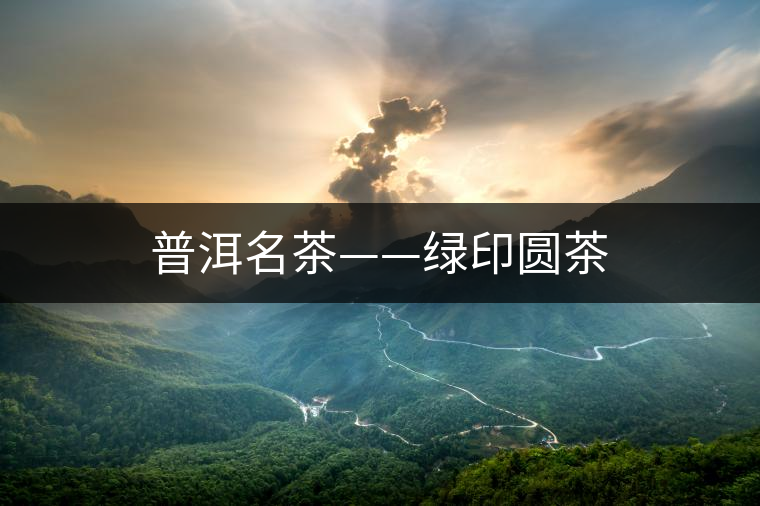 普洱名茶——綠印圓茶