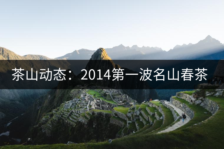 茶山動態(tài)：2014第一波名山春茶價格