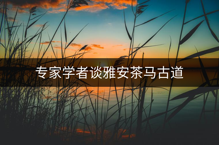 專家學者談雅安茶馬古道 專家學者談雅安茶馬古道