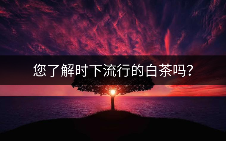您了解時下流行的白茶嗎？