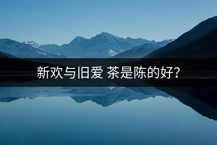 新歡與舊愛 茶是陳的好？