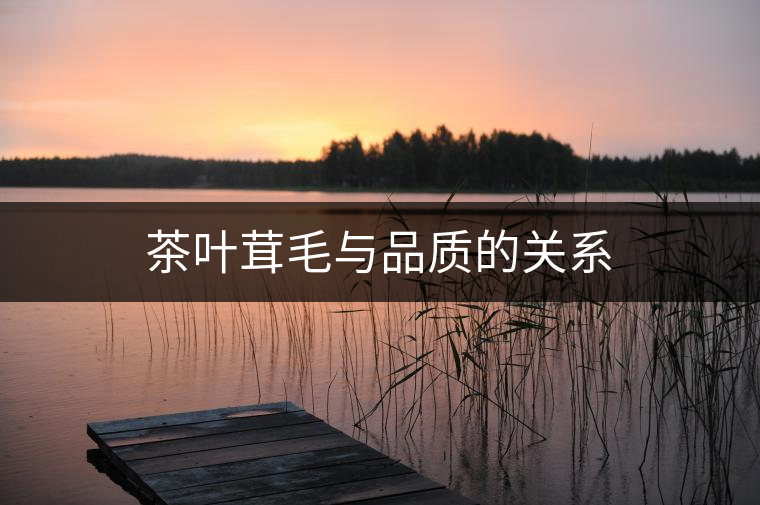 茶葉茸毛與品質(zhì)的關系 茶葉茸毛與品質(zhì)的關系
