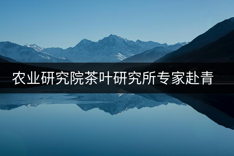 農(nóng)業(yè)研究院茶葉研究所專家赴青海傳授制茶工藝 農(nóng)業(yè)研究院茶葉研究所專家赴青海傳授制茶工藝