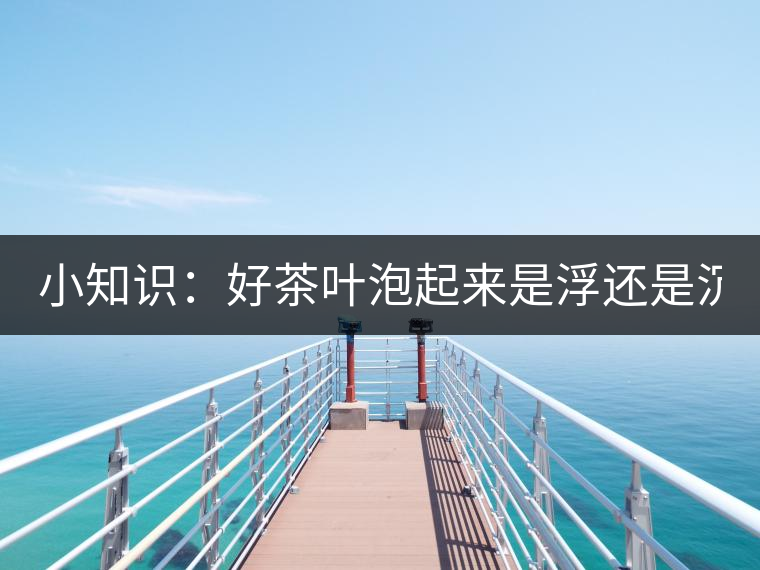 小知識：好茶葉泡起來是浮還是沉？