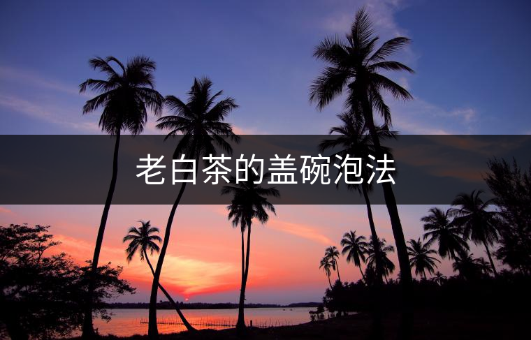 老白茶的蓋碗泡法