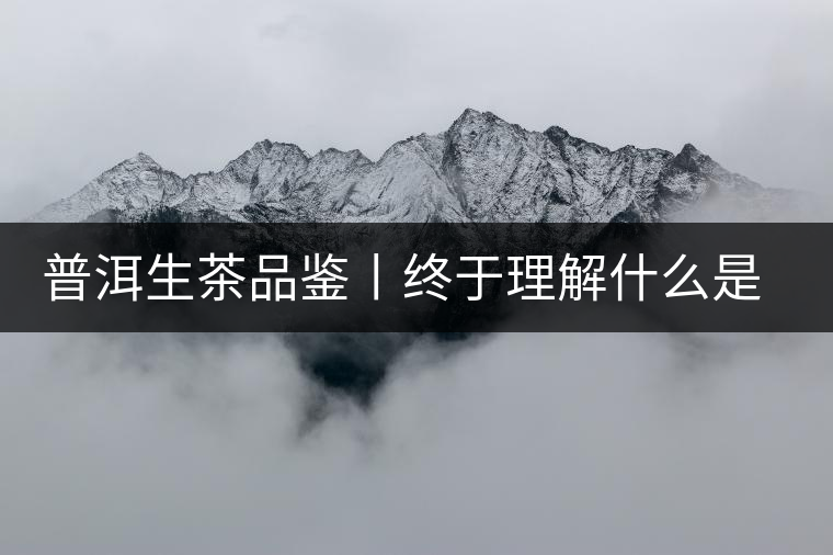 普洱生茶品鑒丨終于理解什么是“醇厚、耐泡，回甘”了