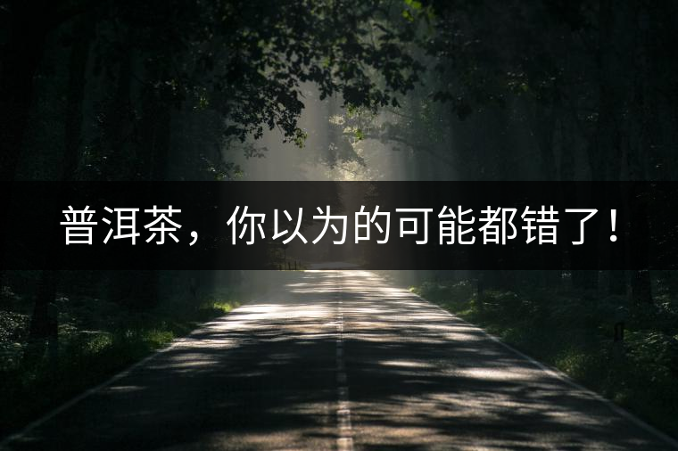普洱茶，你以為的可能都錯(cuò)了！