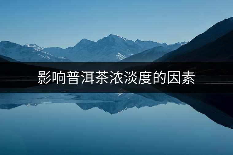 影響普洱茶濃淡度的因素