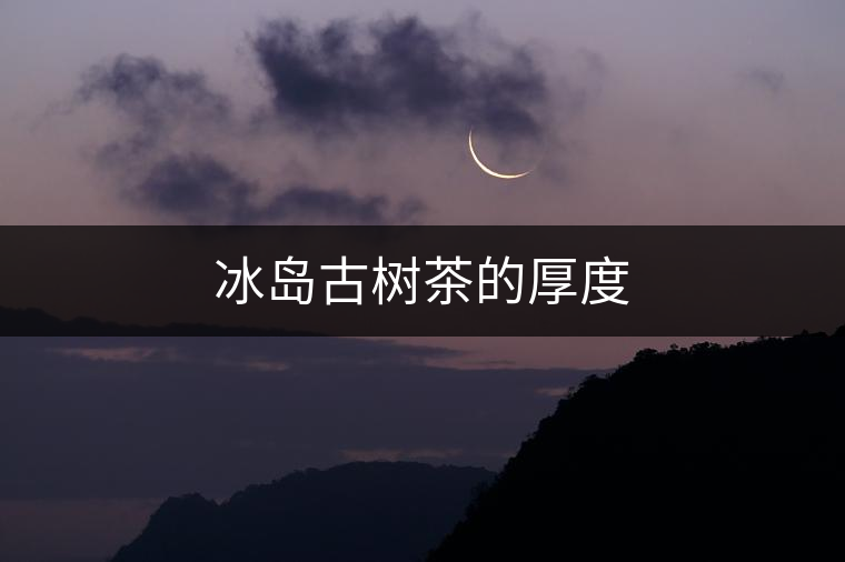 冰島古樹(shù)茶的厚度