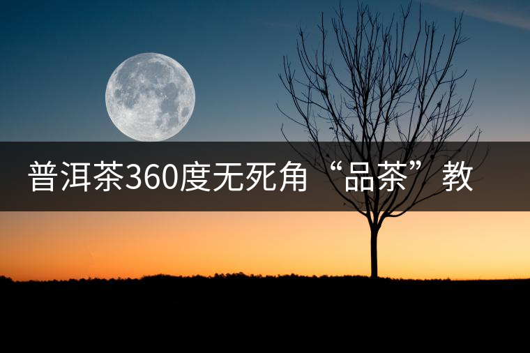普洱茶360度無死角“品茶”教程
