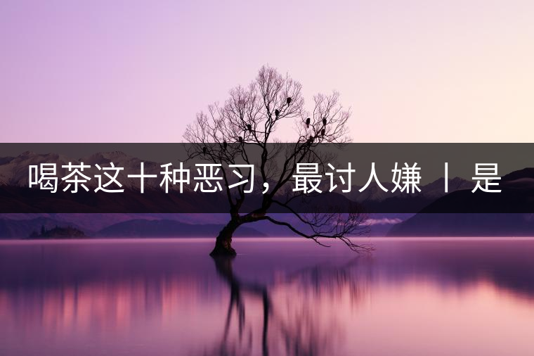 喝茶這十種惡習(xí)，最討人嫌 丨 是否同感？