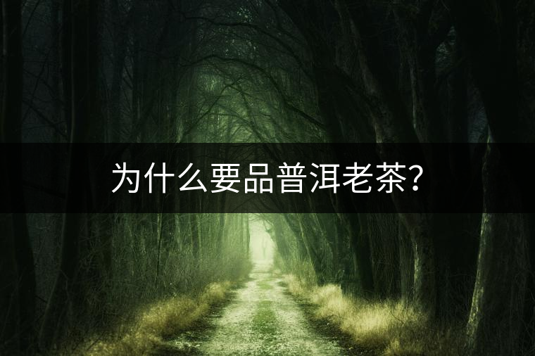 為什么要品普洱老茶？