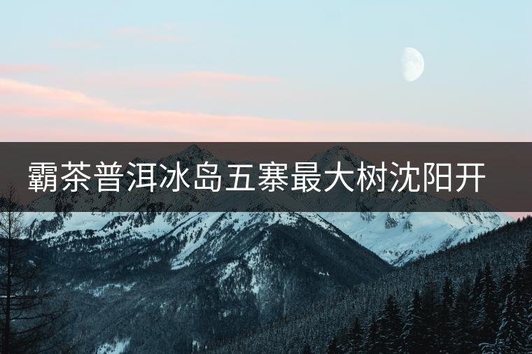 霸茶普洱冰島五寨最大樹(shù)沈陽(yáng)開(kāi)湯 霸茶普洱冰島五寨最大樹(shù)沈陽(yáng)開(kāi)湯