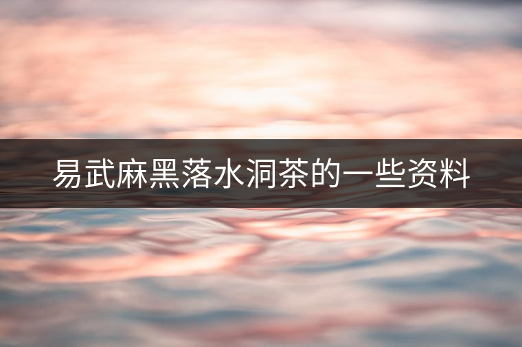 易武麻黑落水洞茶的一些資料