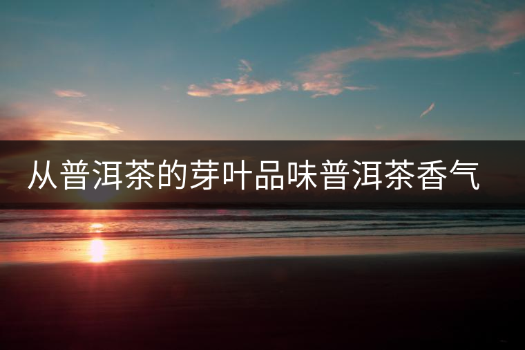 從普洱茶的芽葉品味普洱茶香氣的神秘世界