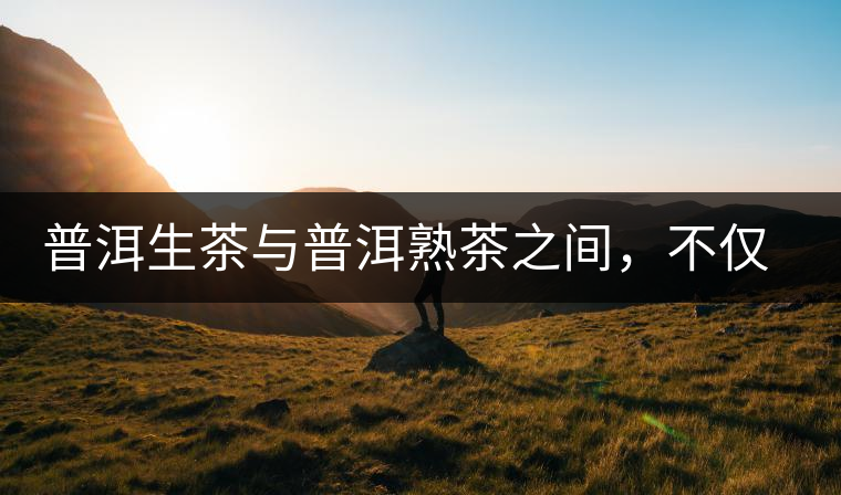 普洱生茶與普洱熟茶之間，不僅僅一個(gè)渥堆的距離！