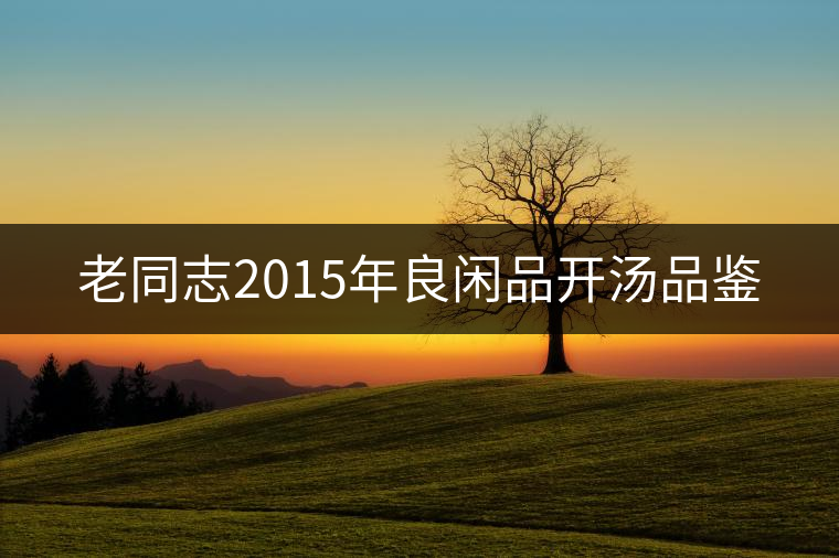 老同志2015年良閑品開湯品鑒 老同志2015年良閑品開湯品鑒