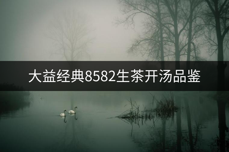 大益經(jīng)典8582生茶開湯品鑒