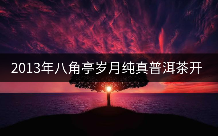 2013年八角亭歲月純真普洱茶開湯