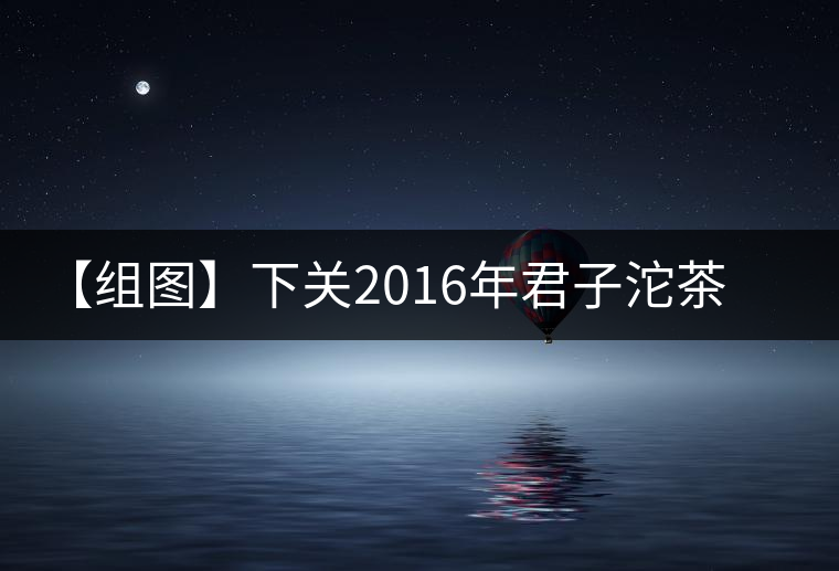 【組圖】下關(guān)2016年君子沱茶（易武）開湯