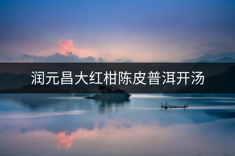 潤元昌大紅柑陳皮普洱開湯