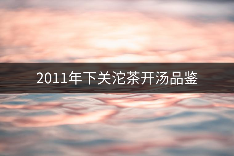 2011年下關(guān)沱茶開湯品鑒