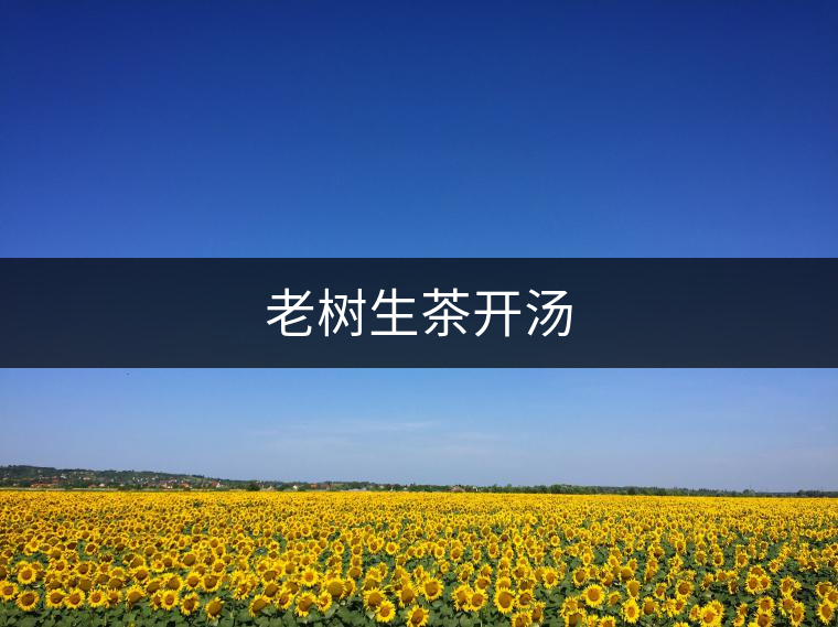 老樹(shù)生茶開(kāi)湯
