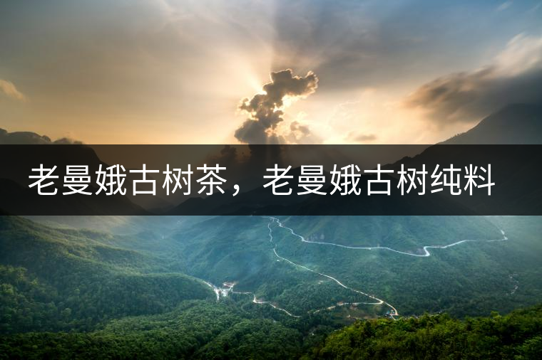 老曼娥古樹茶，老曼娥古樹純料生餅