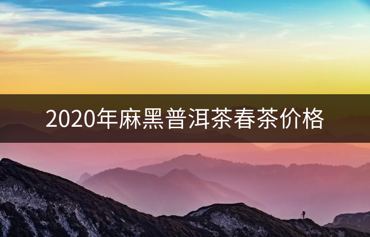 2020年麻黑普洱茶春茶價(jià)格