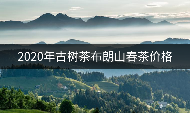 2020年古樹茶布朗山春茶價格