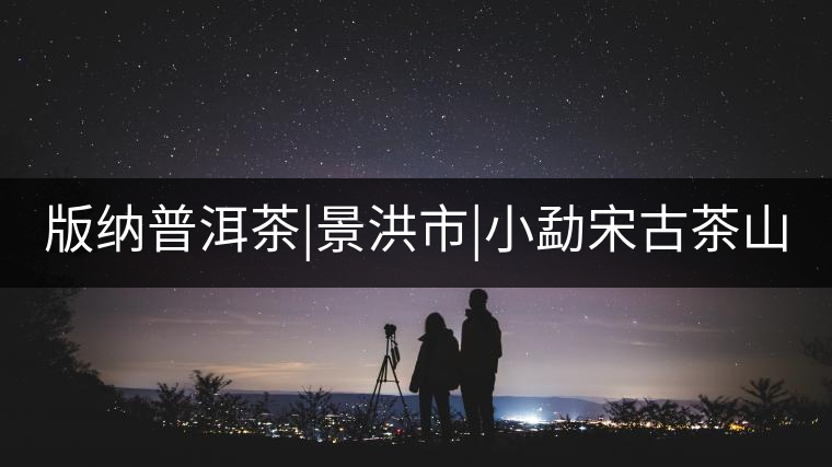 版納普洱茶|景洪市|小勐宋古茶山