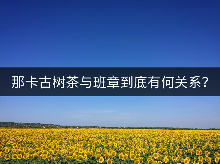 那卡古樹茶與班章到底有何關(guān)系？